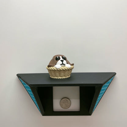 Cute Animals
