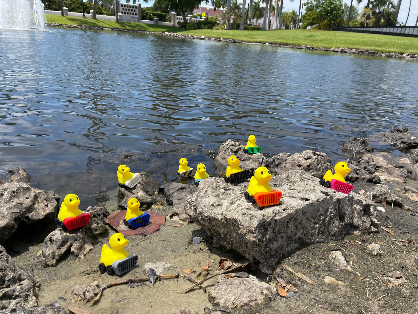 Jeep Ducks
