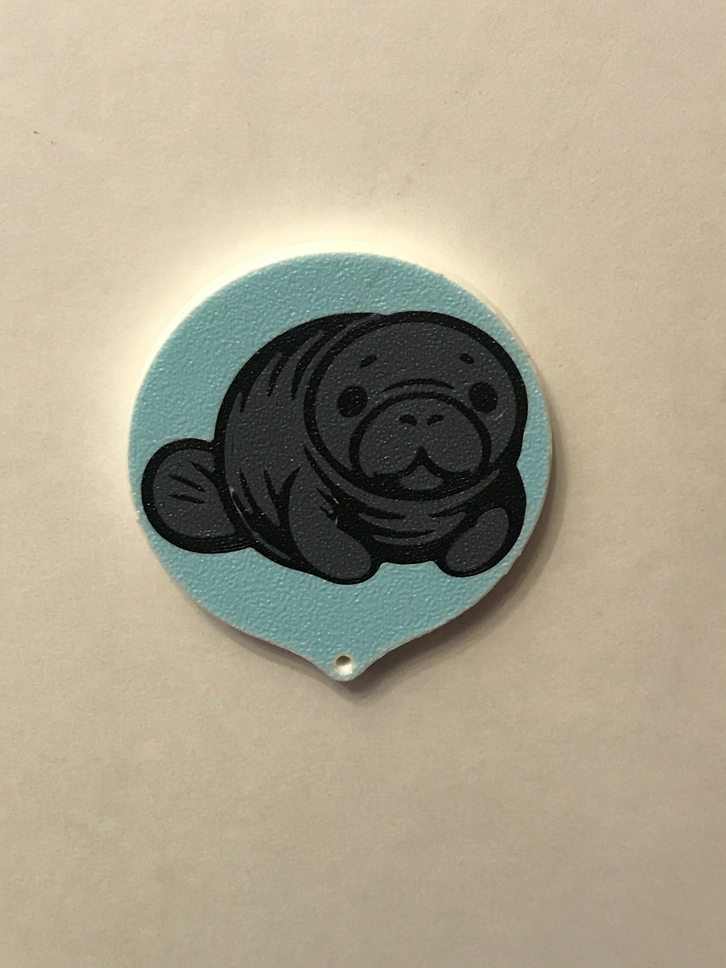 Soda Can Caps