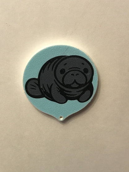 Soda Can Caps